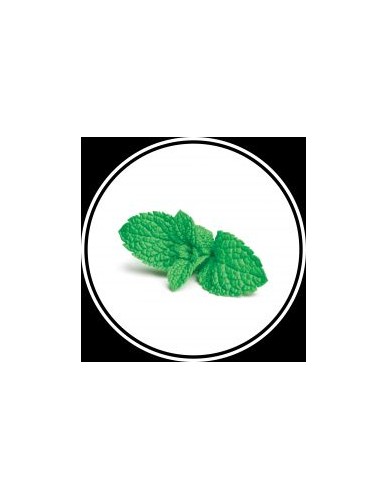 Parfums Hooky 2