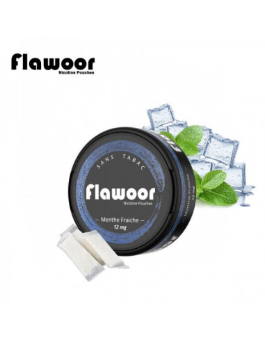 Flawoor Nicotine Pouch