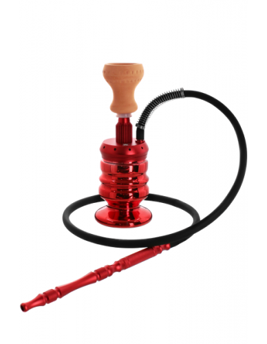 Chicha Kaya Turtle 2