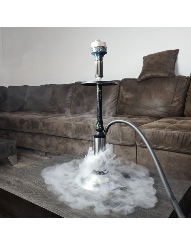 Chicha Hawk Up Evo