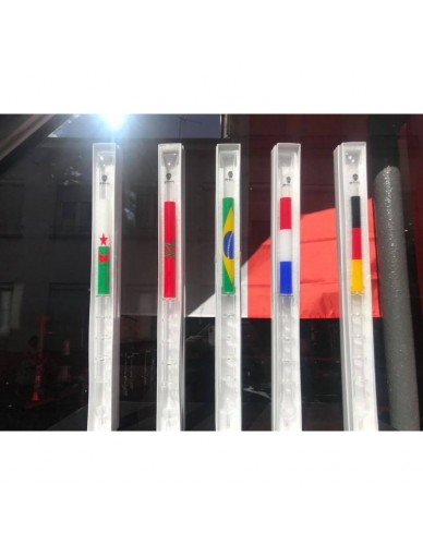 MANCHE SKULL DRAPEAUX BEC PLAT 2